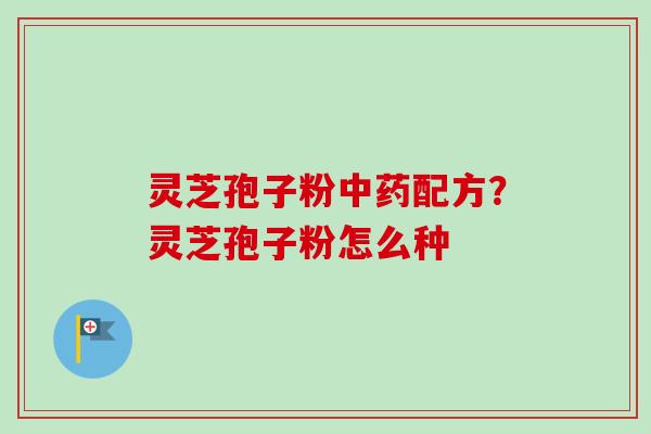 灵芝孢子粉配方？灵芝孢子粉怎么种
