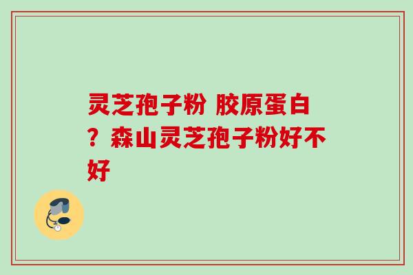 灵芝孢子粉 胶原蛋白?森山灵芝孢子粉好不好 灵芝孢子粉 胶原蛋白?森山灵芝孢子粉好不好