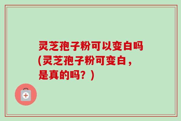 灵芝孢子粉可以变白吗(灵芝孢子粉可变白,是真的吗?) 灵芝孢子粉可以变白吗(灵芝孢子粉可变白,是真的吗?)