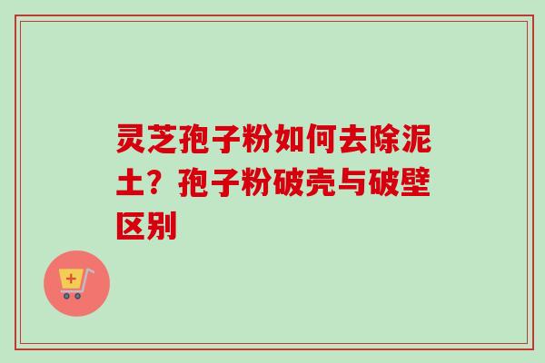 灵芝孢子粉如何去除泥土？孢子粉破壳与破壁区别