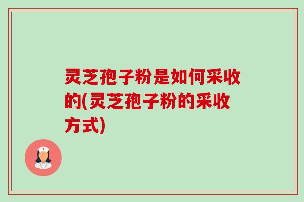 灵芝孢子粉是如何采收的(灵芝孢子粉的采收方式) 灵芝孢子粉是如何采收的(灵芝孢子粉的采收方式)