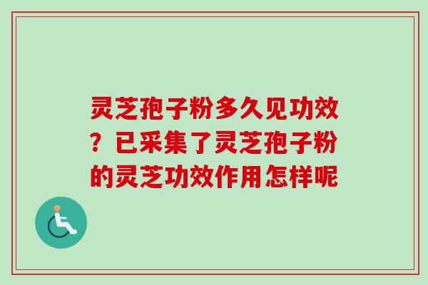 灵芝孢子粉多久见功效?已采集了灵芝孢子粉的灵芝功效作用怎样呢 灵芝孢子粉多久见功效?已采集了灵芝孢子粉的灵芝功效作用怎样呢