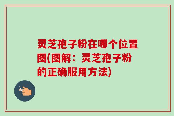 灵芝孢子粉在哪个位置图(图解:灵芝孢子粉的正确服用方法) 灵芝孢子粉在哪个位置图(图解:灵芝孢子粉的正确服用方法)
