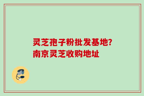 灵芝孢子粉批发基地？南京灵芝收购地址