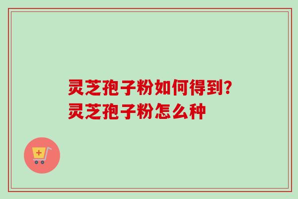 灵芝孢子粉如何得到？灵芝孢子粉怎么种