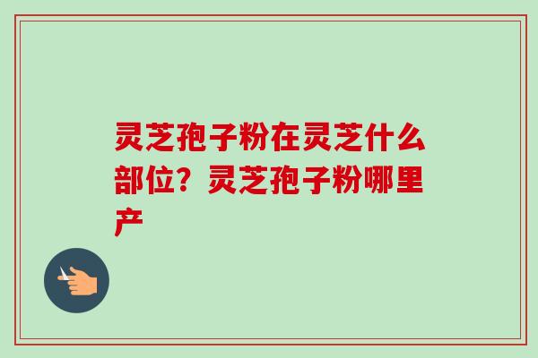 灵芝孢子粉在灵芝什么部位?灵芝孢子粉哪里产 灵芝孢子粉在灵芝什么部位?灵芝孢子粉哪里产