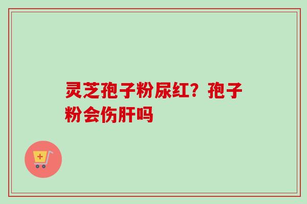 灵芝孢子粉尿红?孢子粉会伤吗 灵芝孢子粉尿红?孢子粉会伤吗