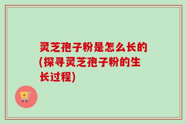 灵芝孢子粉是怎么长的(探寻灵芝孢子粉的生长过程) 灵芝孢子粉是怎么长的(探寻灵芝孢子粉的生长过程)