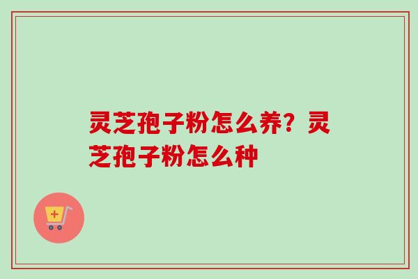 灵芝孢子粉怎么养?灵芝孢子粉怎么种 灵芝孢子粉怎么养?灵芝孢子粉怎么种
