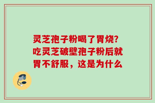 灵芝孢子粉喝了胃烧?吃灵芝破壁孢子粉后就胃不舒服,这是为什么 灵芝孢子粉喝了胃烧?吃灵芝破壁孢子粉后就胃不舒服,这是为什么