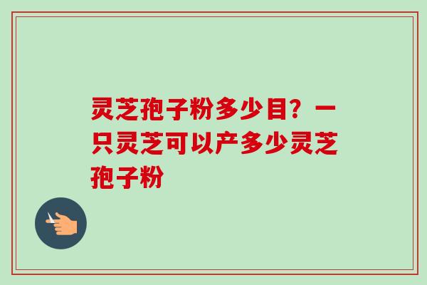 灵芝孢子粉多少目?一只灵芝可以产多少灵芝孢子粉 灵芝孢子粉多少目?一只灵芝可以产多少灵芝孢子粉