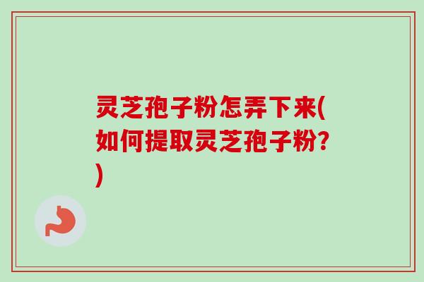 灵芝孢子粉怎弄下来(如何提取灵芝孢子粉?) 灵芝孢子粉怎弄下来(如何提取灵芝孢子粉?)