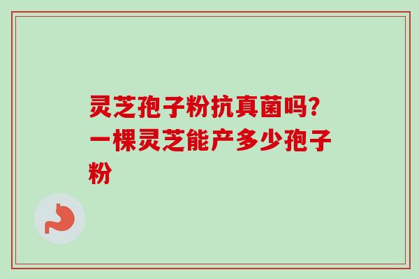 灵芝孢子粉抗真菌吗?一棵灵芝能产多少孢子粉 灵芝孢子粉抗真菌吗?一棵灵芝能产多少孢子粉