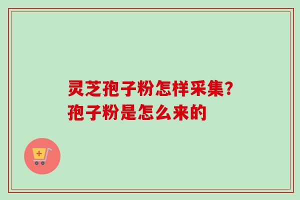 灵芝孢子粉怎样采集?孢子粉是怎么来的 灵芝孢子粉怎样采集?孢子粉是怎么来的