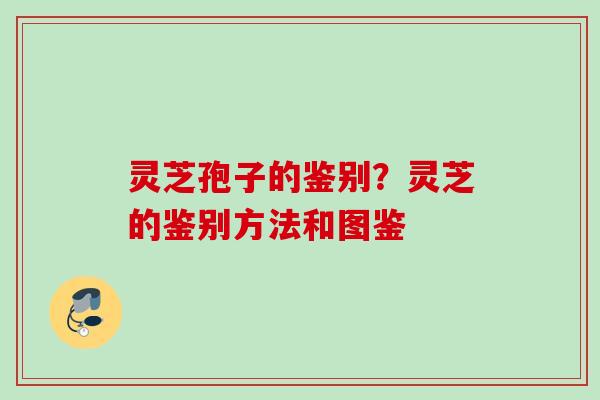 灵芝孢子的鉴别?灵芝的鉴别方法和图鉴 灵芝孢子的鉴别?灵芝的鉴别方法和图鉴