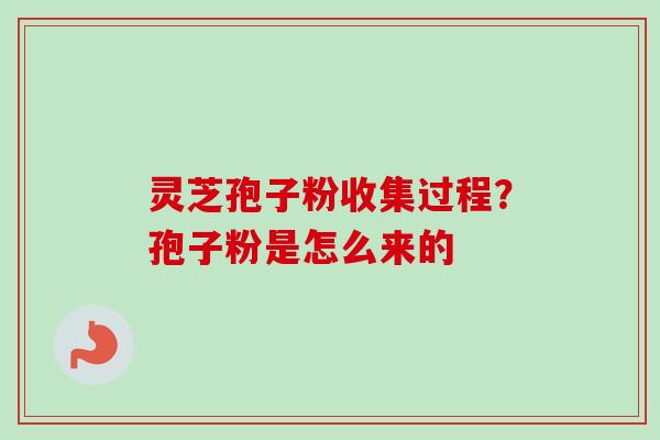 灵芝孢子粉收集过程?孢子粉是怎么来的 灵芝孢子粉收集过程?孢子粉是怎么来的