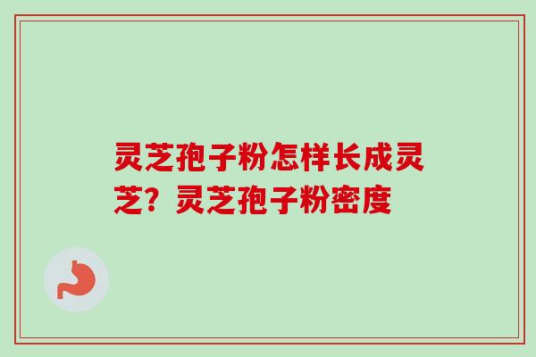 灵芝孢子粉怎样长成灵芝?灵芝孢子粉密度 灵芝孢子粉怎样长成灵芝?灵芝孢子粉密度