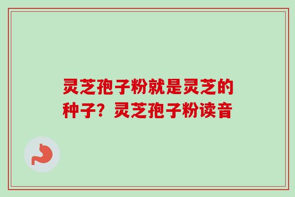 灵芝孢子粉就是灵芝的种子？灵芝孢子粉读音