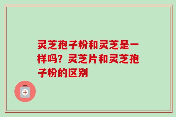 灵芝孢子粉和灵芝是一样吗?灵芝片和灵芝孢子粉的区别 灵芝孢子粉和灵芝是一样吗?灵芝片和灵芝孢子粉的区别