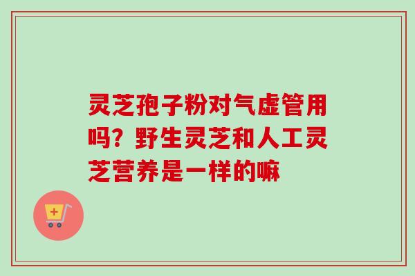 灵芝孢子粉对气虚管用吗？野生灵芝和人工灵芝营养是一样的嘛
