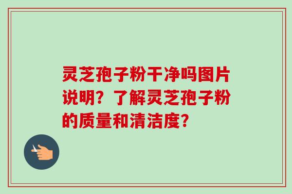 灵芝孢子粉干净吗图片说明?了解灵芝孢子粉的质量和清洁度? 灵芝孢子粉干净吗图片说明?了解灵芝孢子粉的质量和清洁度?