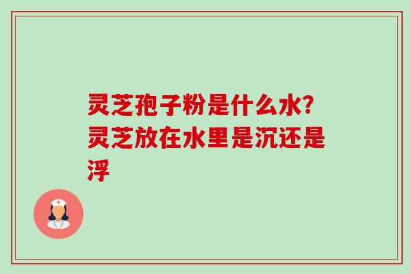 灵芝孢子粉是什么水?灵芝放在水里是沉还是浮 灵芝孢子粉是什么水?灵芝放在水里是沉还是浮