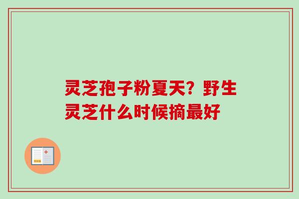 灵芝孢子粉夏天?野生灵芝什么时候摘好 灵芝孢子粉夏天?野生灵芝什么时候摘好