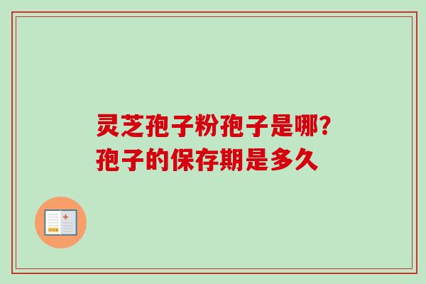 灵芝孢子粉孢子是哪?孢子的保存期是多久 灵芝孢子粉孢子是哪?孢子的保存期是多久