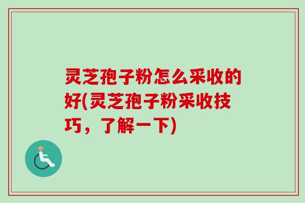 灵芝孢子粉怎么采收的好(灵芝孢子粉采收技巧,了解一下) 灵芝孢子粉怎么采收的好(灵芝孢子粉采收技巧,了解一下)