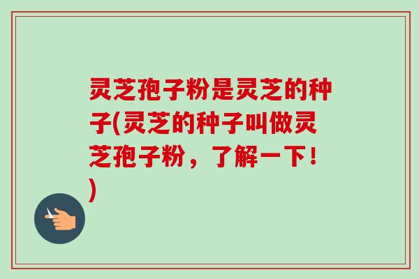 灵芝孢子粉是灵芝的种子(灵芝的种子叫做灵芝孢子粉,了解一下!) 灵芝孢子粉是灵芝的种子(灵芝的种子叫做灵芝孢子粉,了解一下!)