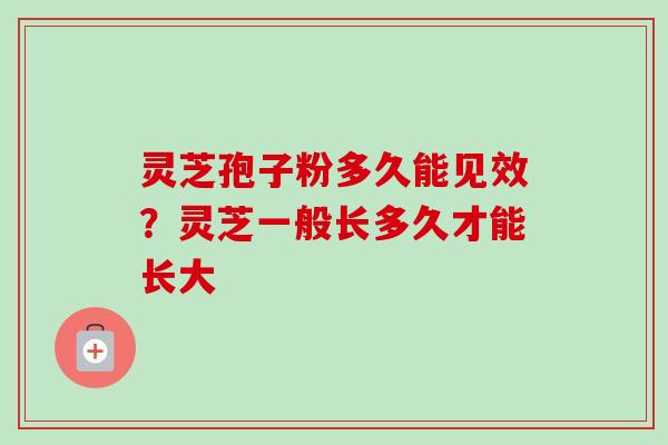 灵芝孢子粉多久能见效?灵芝一般长多久才能长大 灵芝孢子粉多久能见效?灵芝一般长多久才能长大
