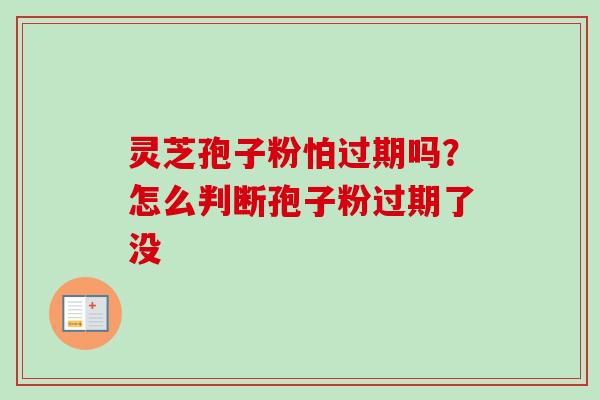 灵芝孢子粉怕过期吗？怎么判断孢子粉过期了没