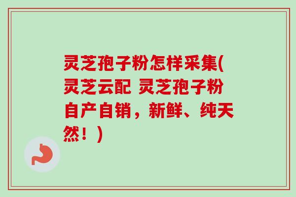 灵芝孢子粉怎样采集(灵芝云配 灵芝孢子粉自产自销,新鲜、纯天然!) 灵芝孢子粉怎样采集(灵芝云配 灵芝孢子粉自产自销,新鲜、纯天然!)