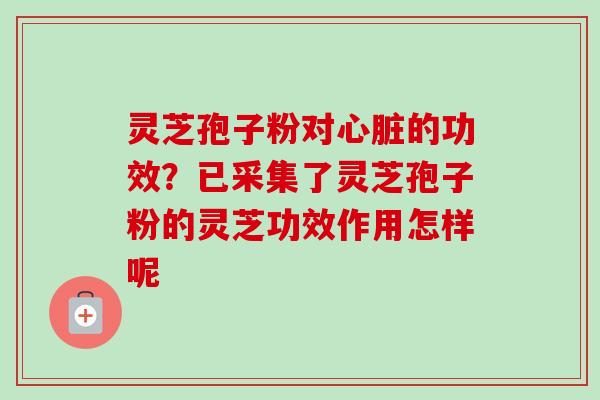 灵芝孢子粉对的功效?已采集了灵芝孢子粉的灵芝功效作用怎样呢 灵芝孢子粉对的功效?已采集了灵芝孢子粉的灵芝功效作用怎样呢