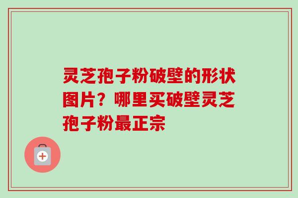 灵芝孢子粉破壁的形状图片?哪里买破壁灵芝孢子粉正宗 灵芝孢子粉破壁的形状图片?哪里买破壁灵芝孢子粉正宗