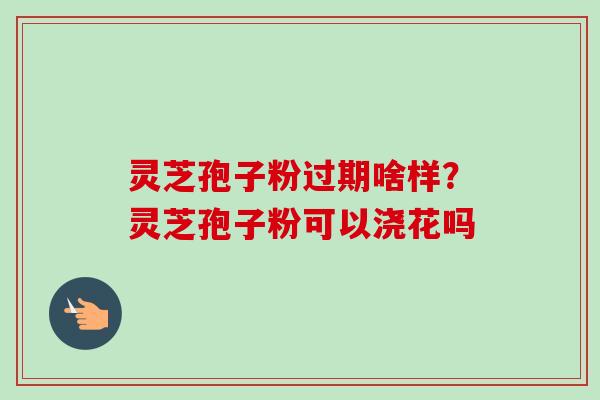 灵芝孢子粉过期啥样?灵芝孢子粉可以浇花吗 灵芝孢子粉过期啥样?灵芝孢子粉可以浇花吗