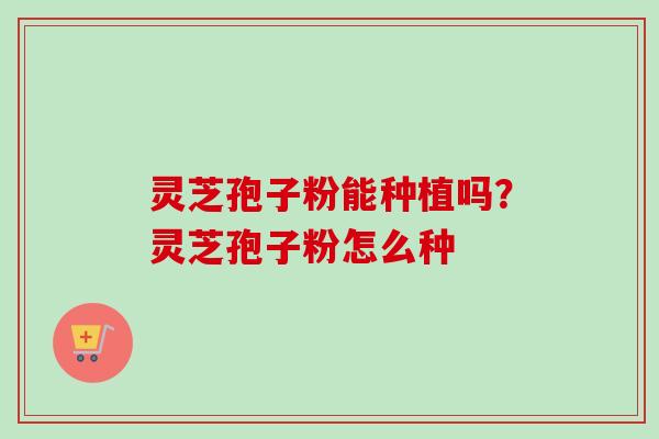 灵芝孢子粉能种植吗?灵芝孢子粉怎么种 灵芝孢子粉能种植吗?灵芝孢子粉怎么种
