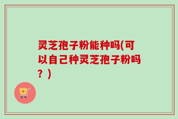 灵芝孢子粉能种吗(可以自己种灵芝孢子粉吗?) 灵芝孢子粉能种吗(可以自己种灵芝孢子粉吗?)