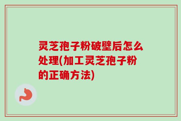 灵芝孢子粉破壁后怎么处理(加工灵芝孢子粉的正确方法)