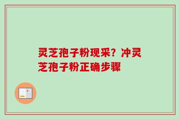 灵芝孢子粉现采?冲灵芝孢子粉正确步骤 灵芝孢子粉现采?冲灵芝孢子粉正确步骤