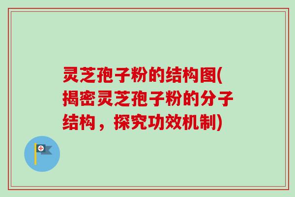 灵芝孢子粉的结构图(揭密灵芝孢子粉的分子结构,探究功效机制) 灵芝孢子粉的结构图(揭密灵芝孢子粉的分子结构,探究功效机制)