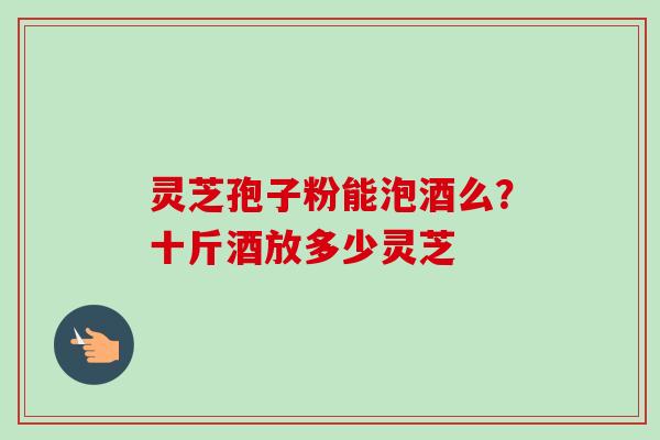 灵芝孢子粉能泡酒么？十斤酒放多少灵芝
