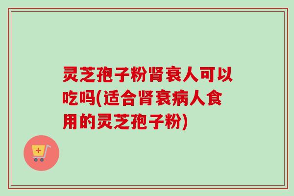 灵芝孢子粉衰人可以吃吗(适合衰人食用的灵芝孢子粉) 灵芝孢子粉衰人可以吃吗(适合衰人食用的灵芝孢子粉)