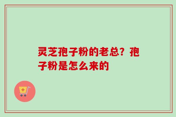 灵芝孢子粉的老总？孢子粉是怎么来的