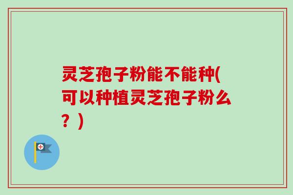 灵芝孢子粉能不能种(可以种植灵芝孢子粉么？)
