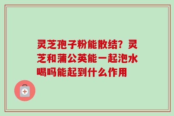 灵芝孢子粉能散结?灵芝和蒲公英能一起泡水喝吗能起到什么作用 灵芝孢子粉能散结?灵芝和蒲公英能一起泡水喝吗能起到什么作用