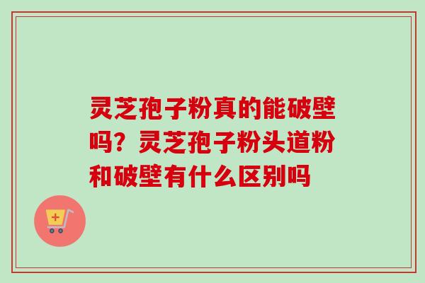 灵芝孢子粉真的能破壁吗?灵芝孢子粉头道粉和破壁有什么区别吗 灵芝孢子粉真的能破壁吗?灵芝孢子粉头道粉和破壁有什么区别吗