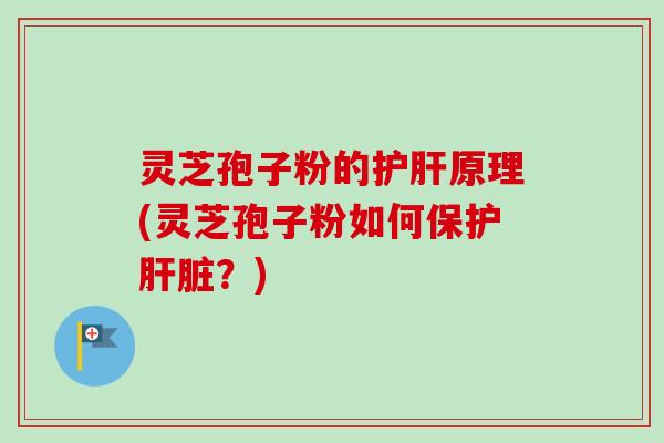 灵芝孢子粉的原理(灵芝孢子粉如何保护?) 灵芝孢子粉的原理(灵芝孢子粉如何保护?)