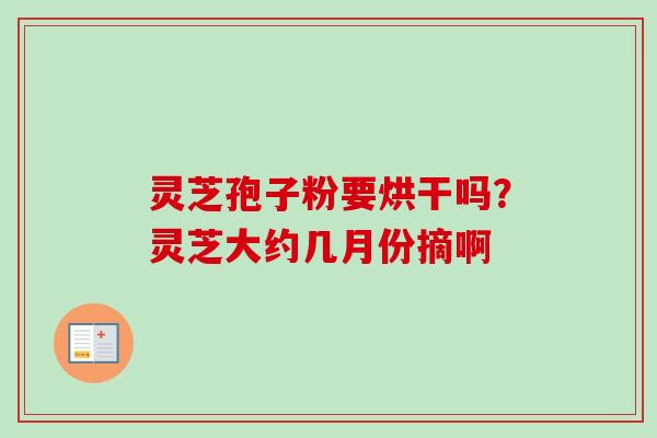 灵芝孢子粉要烘干吗？灵芝大约几月份摘啊