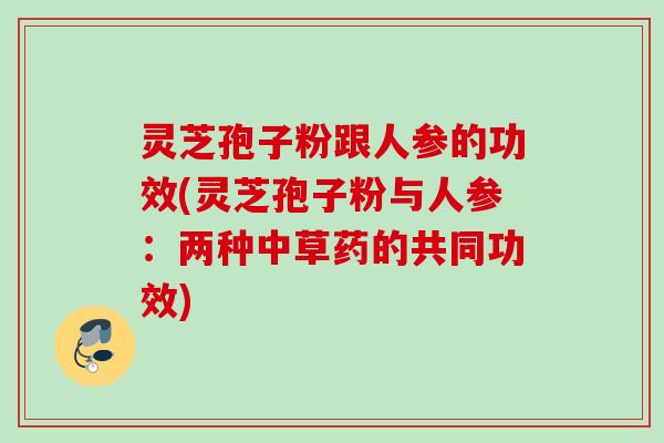 灵芝孢子粉跟人参的功效(灵芝孢子粉与人参:两种中草药的共同功效) 灵芝孢子粉跟人参的功效(灵芝孢子粉与人参:两种中草药的共同功效)